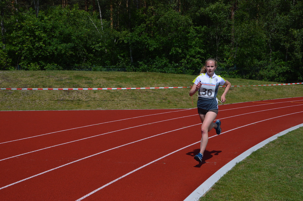 Einlauf Stand